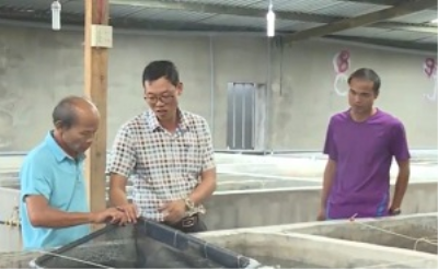 Trường Đại học Nha Trang nghiên cứu và triển khai công nghệ phục vụ phát triển nuôi biển