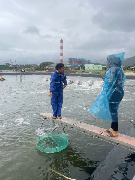 Sinh viên Trường Đại học Kasesart - Thái Lan đến thực tập tại Viện Nuôi trồng Thủy sản - Trường Đại học Nha Trang