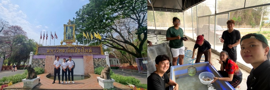 Sinh viên khóa 63 ngành NTTS đến trường Đại học Chiang Mai – Thái lan thực hiện chương trình trao đổi ngắn hạn (thực tập) (từ 4/3/2024 – 5/5/2024)
